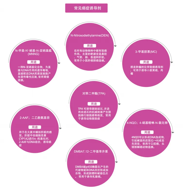 03c81c72f1424dfda33677efc6857d91_52a079ddfbca4e2185ab65200c9560b9.png
